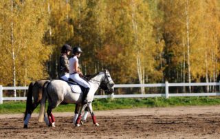 44782605_493335511180484_5939742038663626752_o