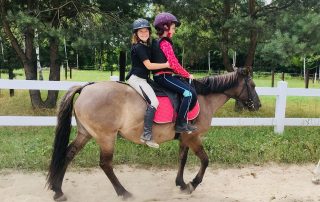 pony-nauka-jazdy (1)