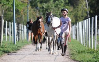 pony-nauka-jazdy (2)