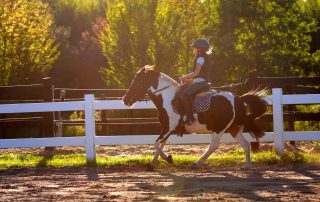 pony-nauka-jazdy (4)