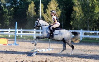 pony-nauka-jazdy (5)