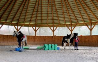 pony-nauka-jazdy (7)