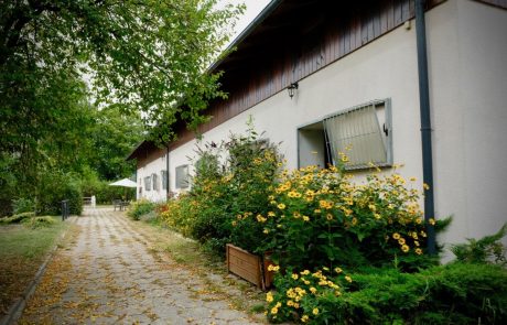 pony-pensjonat-dla-koni (2)