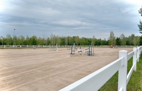 pony-pensjonat-dla-koni (3)